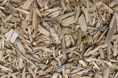 biomass boilers Sheldwich